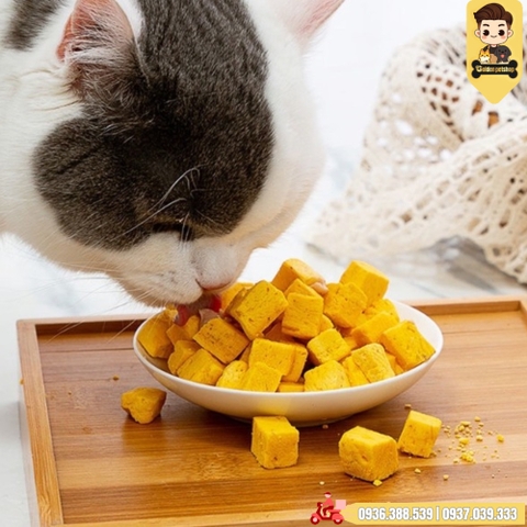 Thức ăn sấy - Đồ sấy dành cho chó mèo