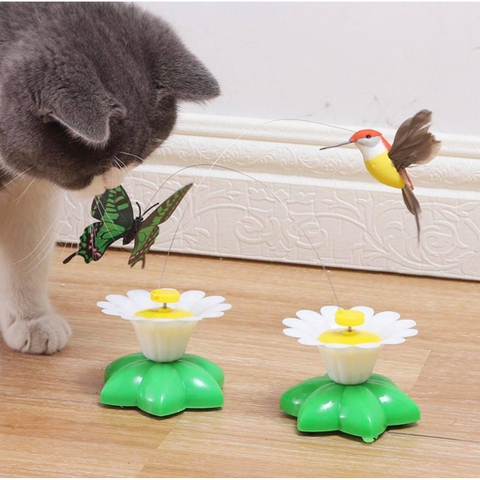 Đồ chơi thú cưng