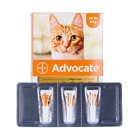 Nhỏ gáy trị ve rận, ngừa ghẻ, xổ giun cho mèo Advocate