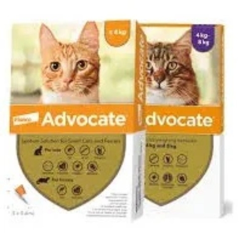 Nhỏ gáy trị ve rận, ngừa ghẻ, xổ giun cho mèo Advocate