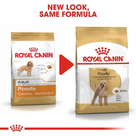 Thức ăn cho chó Royal Canin Poodle Adult - Giống chó Poodle trên 10 tháng tuổi