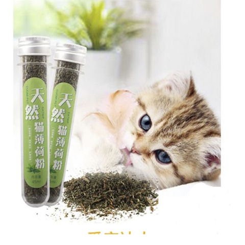 cỏ mèo catnip