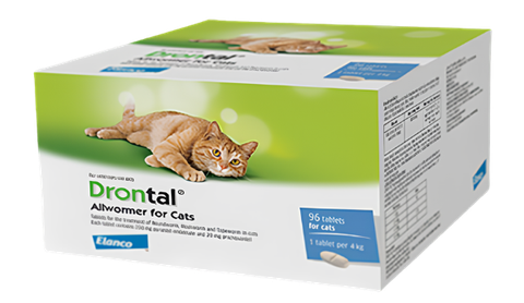 Thuốc Xổ Giun drontal cho mèo 2-4kg