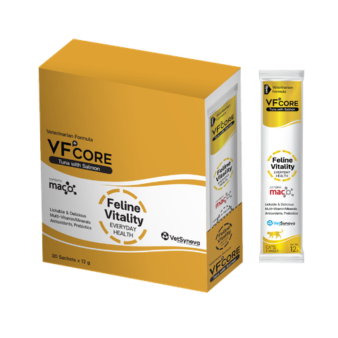 Súp thưởng chức năng Vfcore