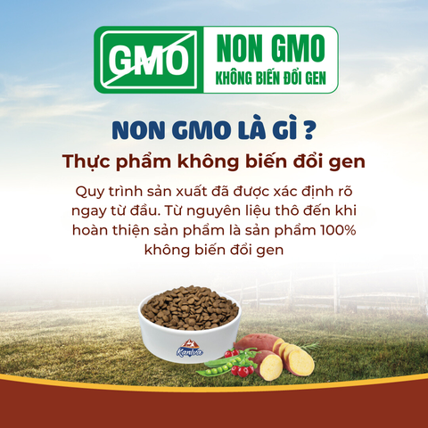 Thức ăn hạt dành cho mèo Kaniva mèo Vị Cá hồi cá ngừ - Salmon&Tuna