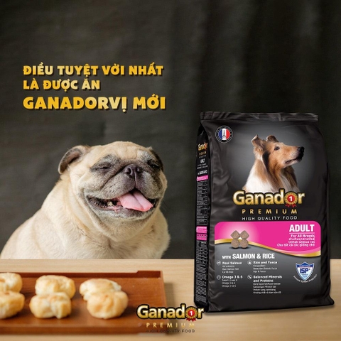 Thức ăn cho chó trưởng thành Cá hồi và gạo - Ganador Premium
