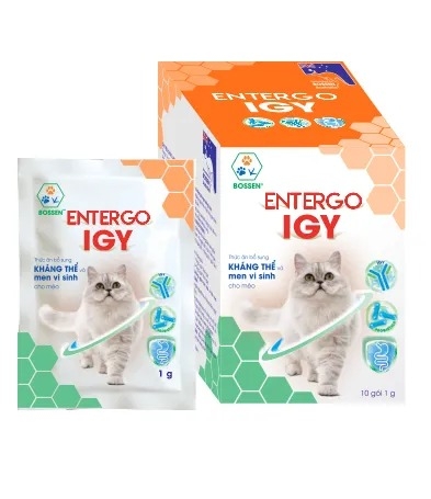 Men Vi Sinh Entergo IGY cho chó mèo