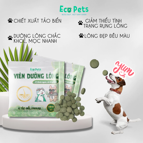 Viên dưỡng lông cho chó mèo từ Tảo Biển Ecopet