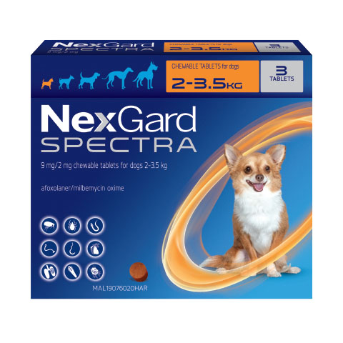 NexGard Spectra điều trị ghẻ ve rận cho chó