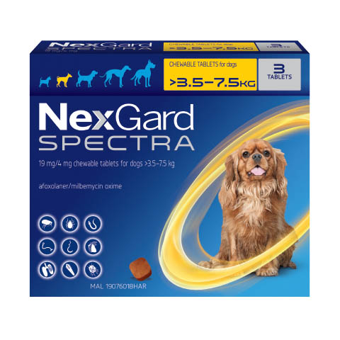 NexGard Spectra điều trị ghẻ ve rận cho chó