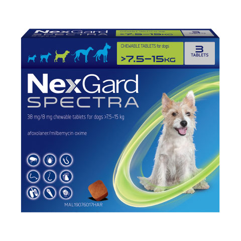 NexGard Spectra điều trị ghẻ ve rận cho chó