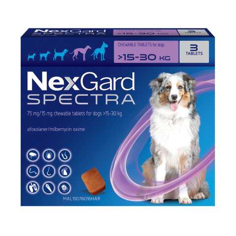 NexGard Spectra điều trị ghẻ ve rận cho chó