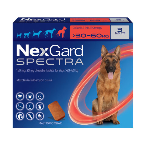 NexGard Spectra điều trị ghẻ ve rận cho chó