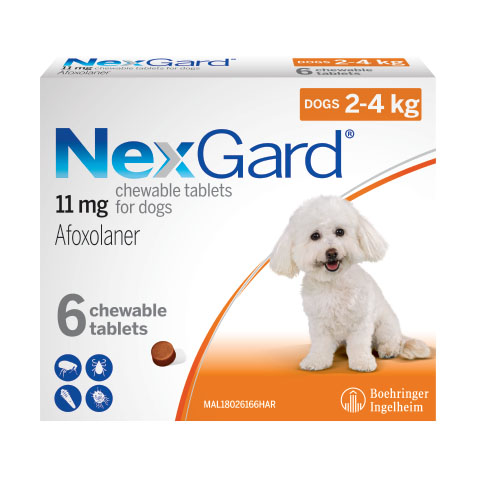 NexGard điều trị ghẻ ve rận cho chó