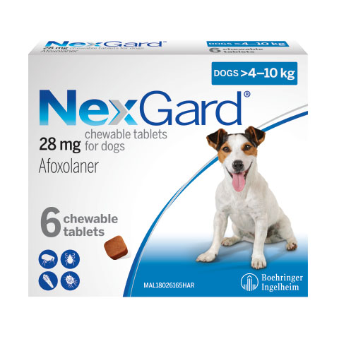 NexGard điều trị ghẻ ve rận cho chó