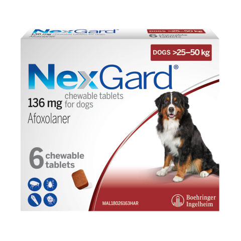 NexGard điều trị ghẻ ve rận cho chó
