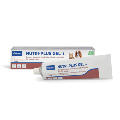 Gel dinh dưỡng Nutri-plus cho chó mèo