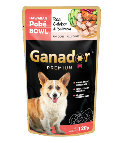 Pate Ganador Premium dành cho chó