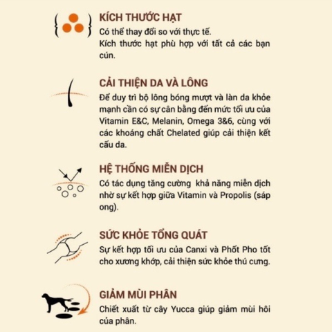 Thức ăn hạt cho chó Hug