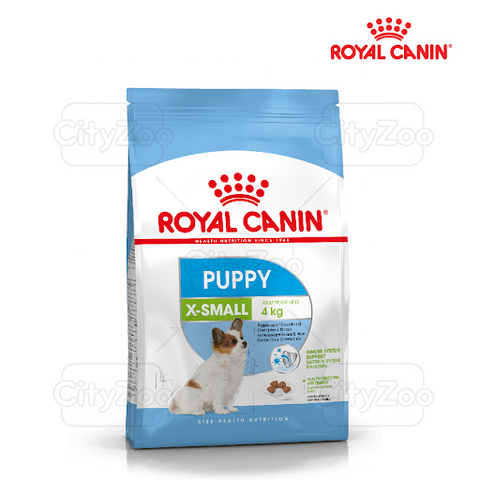 Thức ăn cho chó Royal Canin Chihuahua Adult - Giống chó Chihuahua trên 8 tháng