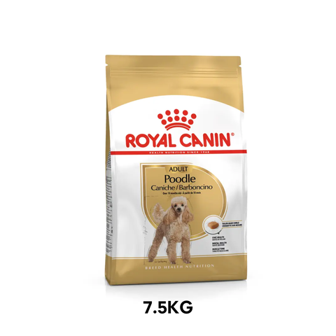 Thức ăn cho chó Royal Canin Poodle Adult - Giống chó Poodle trên 10 tháng tuổi