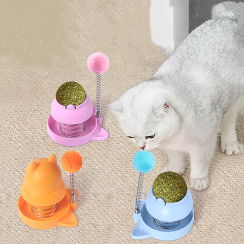 cỏ mèo catnip