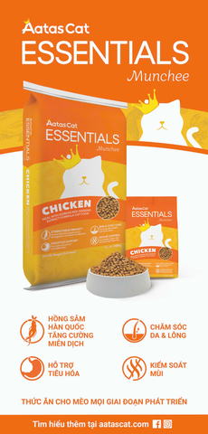 Hạt Mèo Aatas Cat Essentials Munchee Chicken Chính Hãng | Golden Pet