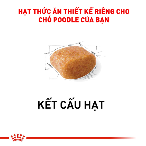 Royal Canin Poodle Adult Hạt chó Poodle trưởng thành