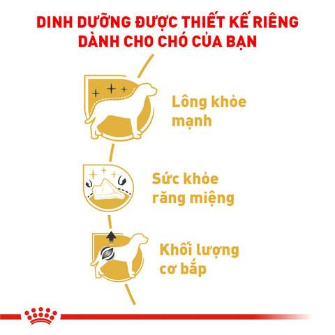 Royal Canin Poodle Adult Hạt chó Poodle trưởng thành