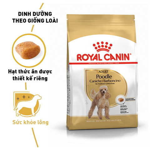 Royal Canin Poodle Adult Hạt chó Poodle trưởng thành