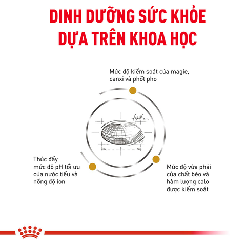 Royal Canin Urinary S/O Hạt mèo hỗ trợ tiết niệu