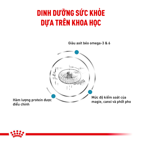 Royal Canin Skin & Coat Hạt mèo viêm da rụng lông
