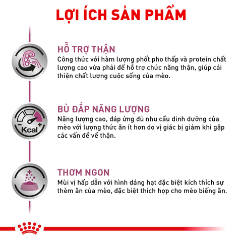 Royal Canin Renal Hạt mèo hỗ trợ thận