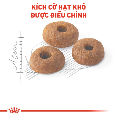 Royal Canin Fit Hạt mèo vận động thường xuyên