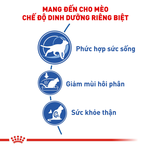 Royal Canin Indoor Hạt mèo nuôi nhốt trong nhà