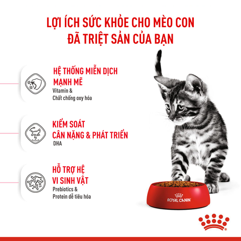 Royal Canin Kitten Hạt mèo con