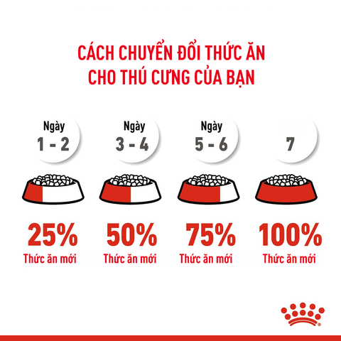 Royal Canin Kitten Hạt mèo con