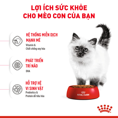 Royal Canin Kitten Hạt mèo con