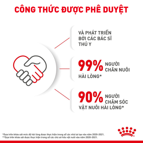 Royal Canin Kitten Hạt mèo con