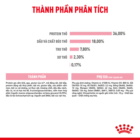 Royal Canin Kitten Hạt mèo con