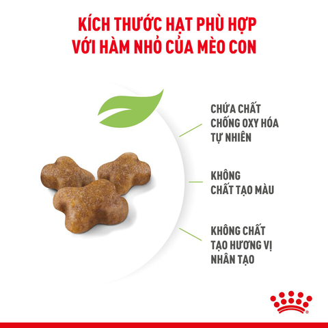 Royal Canin Kitten Hạt mèo con