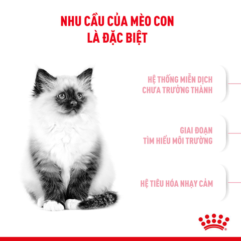 Royal Canin Kitten Hạt mèo con