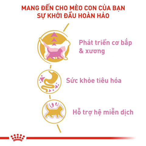 Royal Canin British Shorthair Kitten Hạt mèo con Anh lông ngắn
