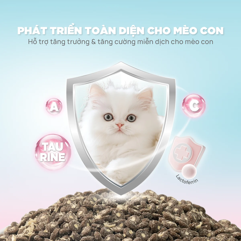 THỨC ĂN HẠT PET.Q DONUT D90 & D90K CHO MÈO