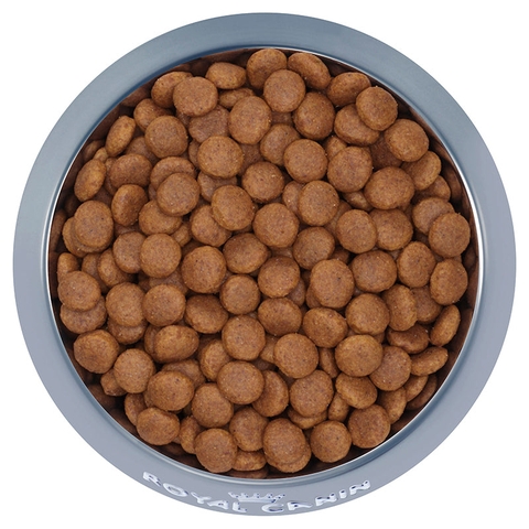 Thức ăn cho chó Royal Canin Medium Puppy - Chó con kích cở Trung bình