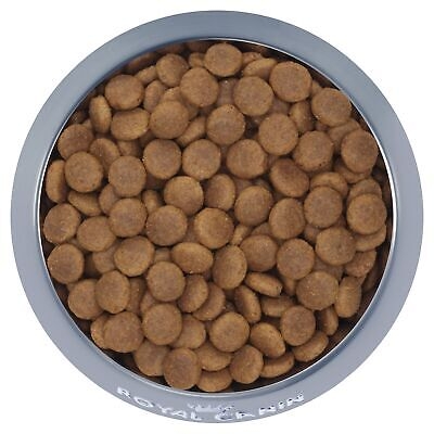 Thức ăn cho chó Royal Canin Medium Adult- Chó trưởng thành kích cở Trung bình