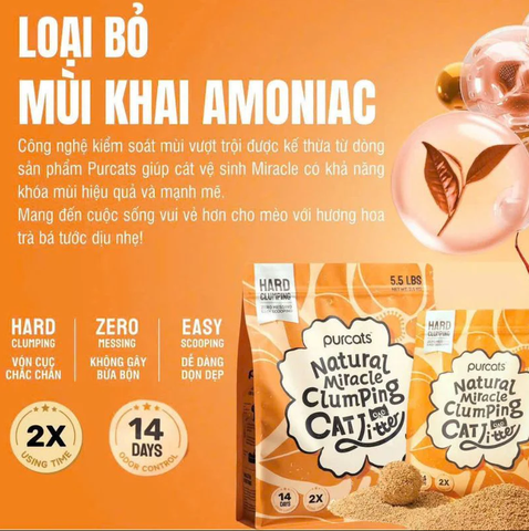 Cát sắn Cature