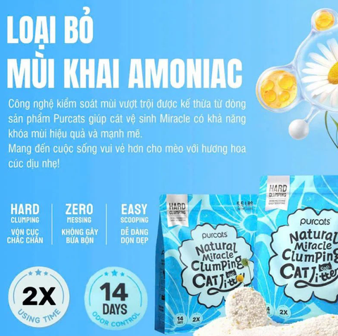 Cát sắn Cature