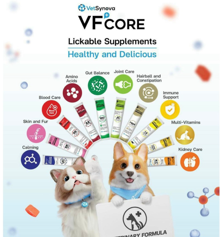 Súp thưởng chức năng Vfcore