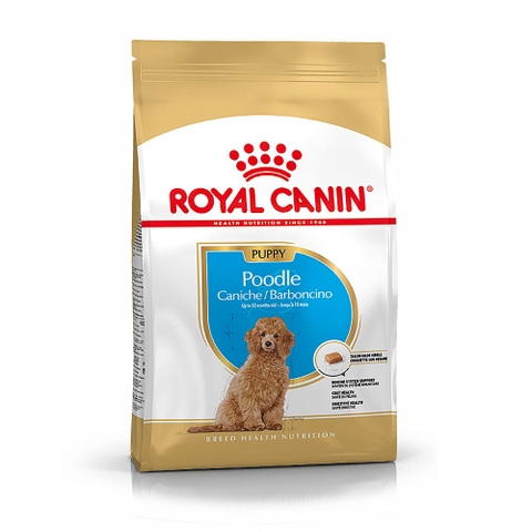 Thức ăn cho chó Royal Canin Poodle Puppy - Giống chó Poodle dưới 10 tháng tuổi